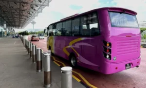 Official Friend of Bus Website: Trusted Bus Charter Services in Singapore