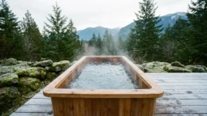 Fitting a Cold Plunge Into a Small Backyard for Daily Use